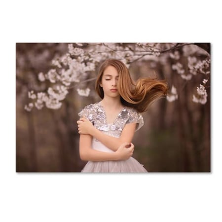 Trademark Fine Art Katie Andelman 'Swoosh' Canvas Art, 16x24 1X01625-C1624GG